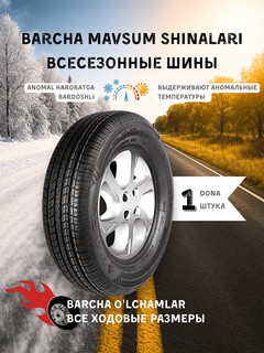 Шина BARS для Chevrolet Spark/Daewoo Nexia 2,3 185/70 R14, 1шт