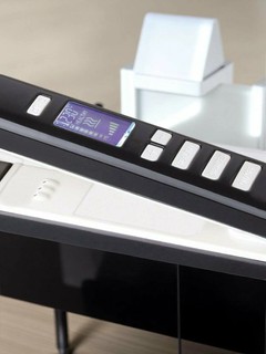 Профессиональный утюжок, выпрямитель для волос MAC Styler MC-2021 Titan , с LCD дисплеем Titan