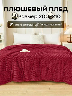 Плед велсофт, плюшевый и теплый, на кровать и на диван, 200 * 210