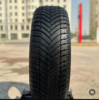 Модели Minerva имеют различные серийные направления: летние, зимние, всесезонные шины, варианты для SUV/4×4.