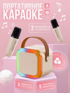 Портативная Bluetooth колонка, с 2 микрофонaми, для караоке