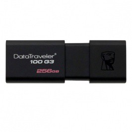 Kingston DT100G3 256GB