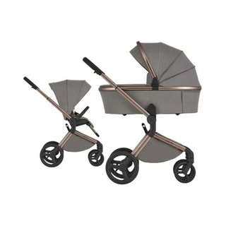 КОЛЯСКА 2В1 ANEX FLO CHARM