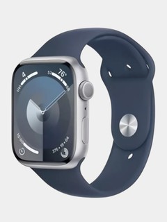 Смарт часы Apple Watch Series 9, 45 мм